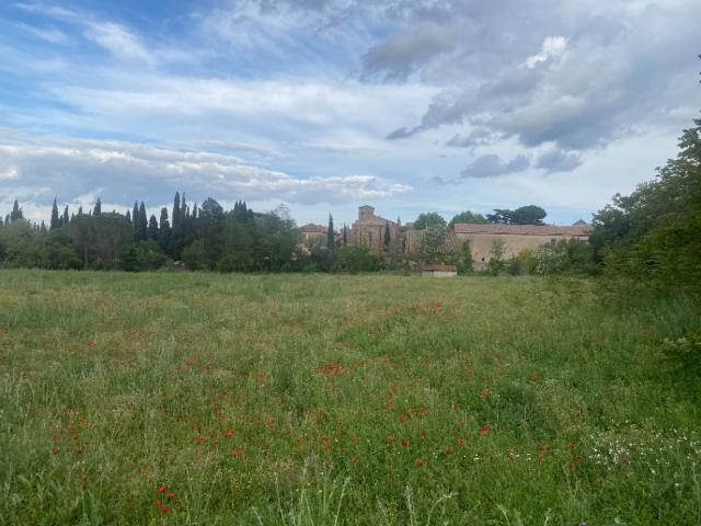 Terrain vente à Narbonne, Thézan-des-corbières