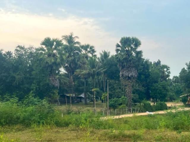 ที่ดิน สำหรับขาย ใน บ้านลาด, เพชรบุรี