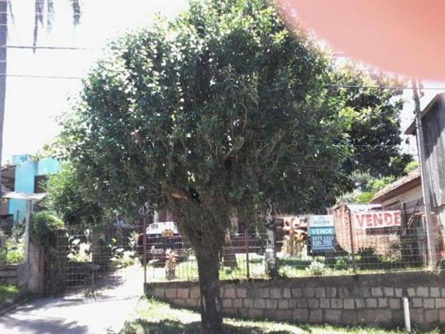 Sitio venda em Canoas, Nossa Senhora das Graças