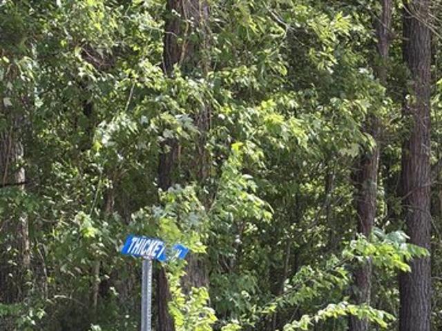 Land for sale in Saint Stephen, South Carolina