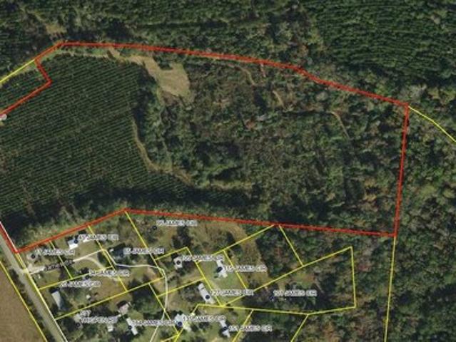 Land for sale in Quincy, Florida