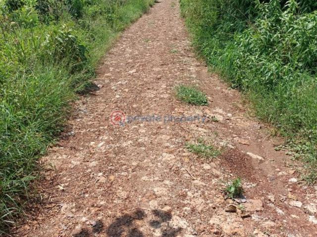 Land for sale in Makuyu, Maragwa