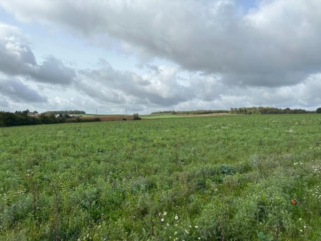 Terrain vente à Thionville