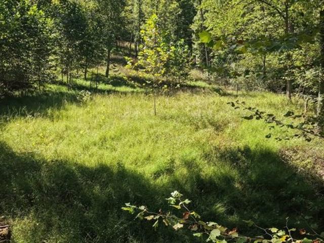Land for sale in Glenville, West Virginia
