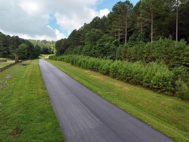 Land for sale in Blairsville