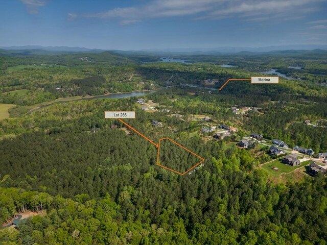 Land for sale in Blairsville Land for sale in Blairsville
