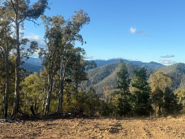 Cottage for sale in Neringla, New South Wales