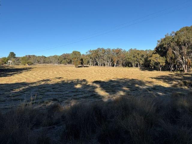 Land for sale in Amiens, Queensland