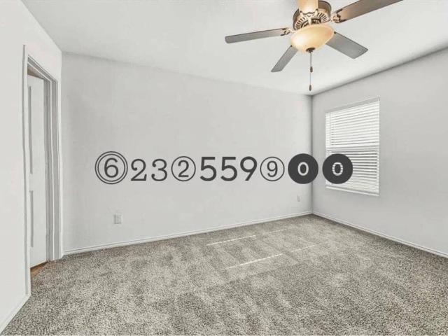 Room for rent in Tampa, Florida