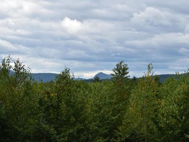 Land for sale in Center Rutland, Vermont