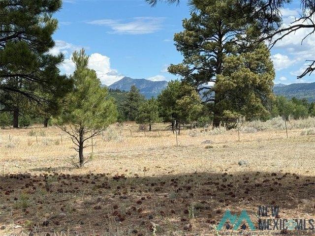 Land for sale in Chama, New Mexico