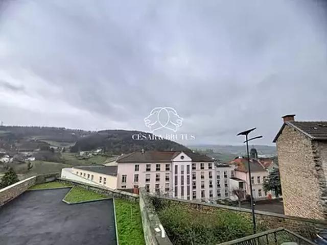 Appartement vente à Villefranche-sur-Saône, Rhône