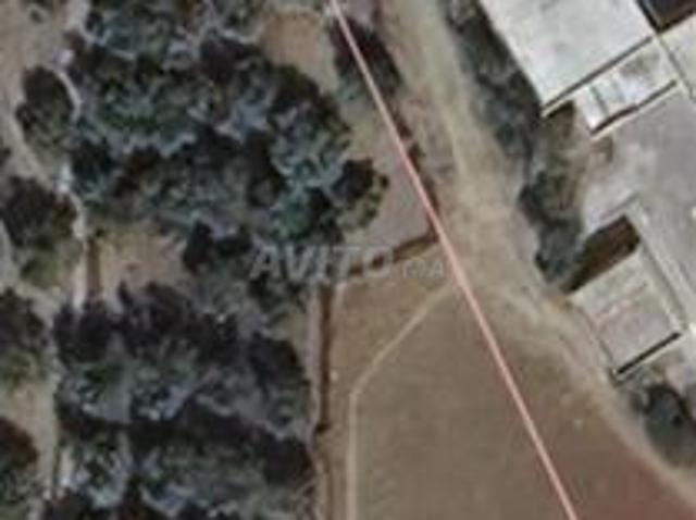 Propriété vente à Taounate