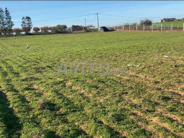 Propriété vente à Sidi Allal El Bahraoui