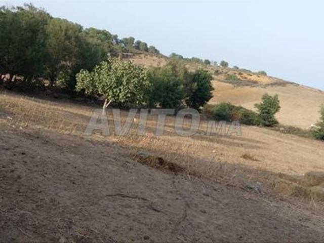 Propriété vente à Rissana Janoubia, Tanger-Tétouan