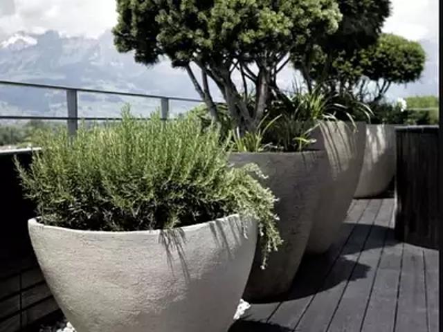 Appartement vente à Gex, Auvergne-Rhône-Alpes