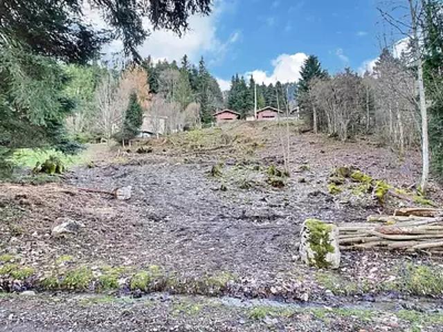 Terrain vente à Thonon-les-Bains, Thollon-les-mémises