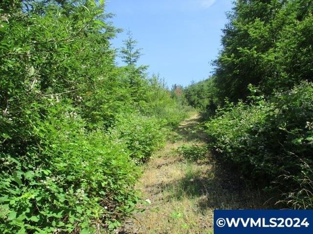 Land for sale in Scio, Linn County