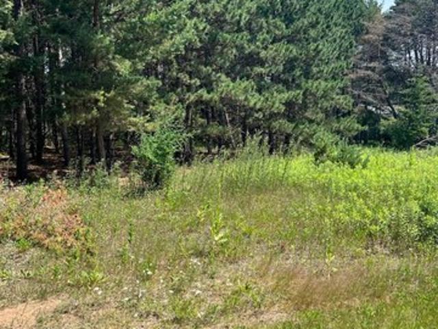 Land for sale in Morrison, Minnesota