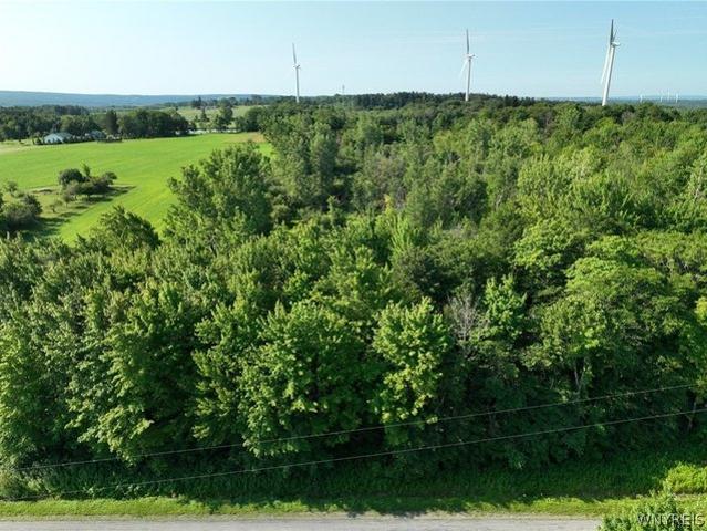 Land for sale in Varysburg, New York