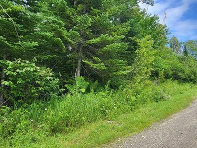 Land for sale in Gilman, Vermont