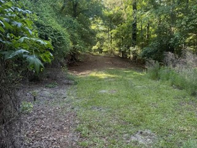 Land for sale in Montezuma, Georgia