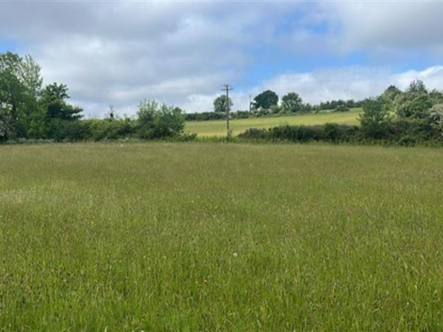 Property for sale in Thomastown, The Municipal District of Callan — Thomastown