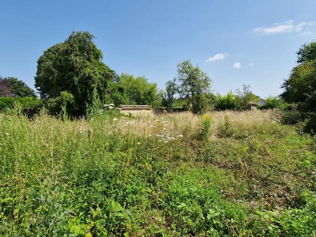 Terrain vente à Fontainebleau, Veneux-les-sablons