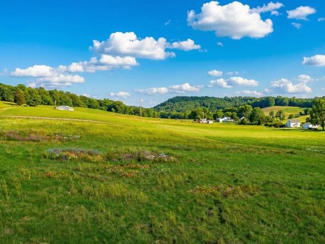 Land for sale in Tennessee