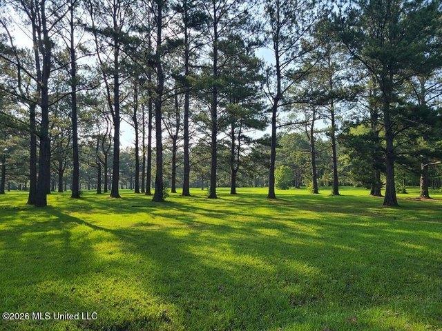 Land for sale in Carriere, Pearl River County