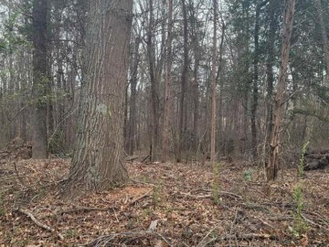 Land for sale in Greenville, South Carolina