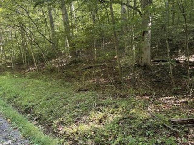 Land for sale in Hillsboro, West Virginia