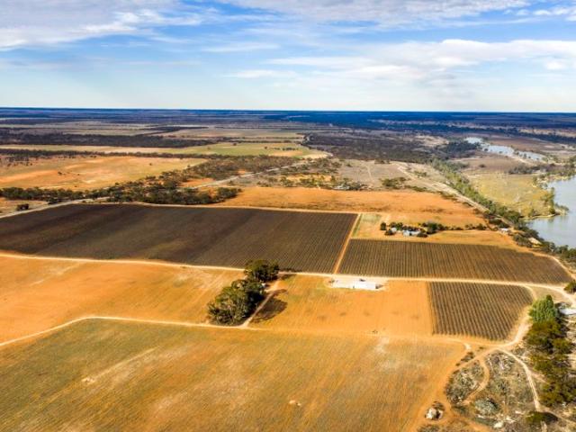 Property for sale in Kingston On Murray, South Australia