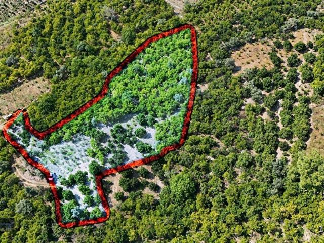 Yenişehir, Mersin içerisinde satılık mülk