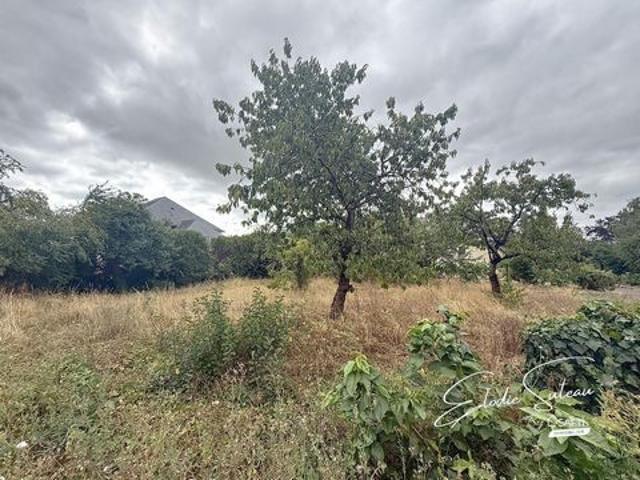 Terrain vente à Segré, Le Lion-d'angers