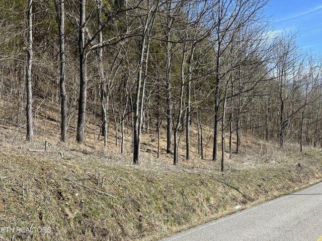 Land for sale in Thorn Hill, Tennessee