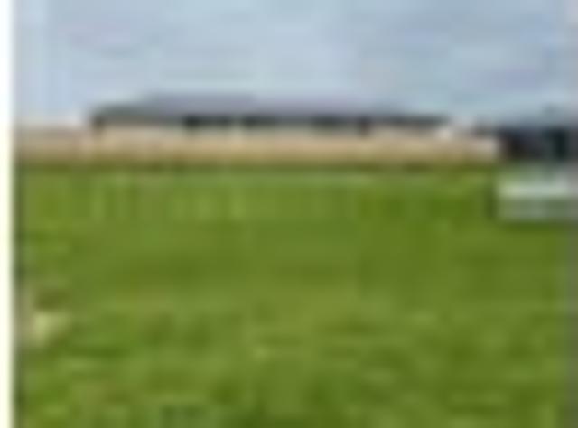 Land for sale in Te Awamutu, Waikato