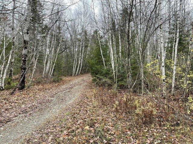 Land for sale in Waldo, Maine