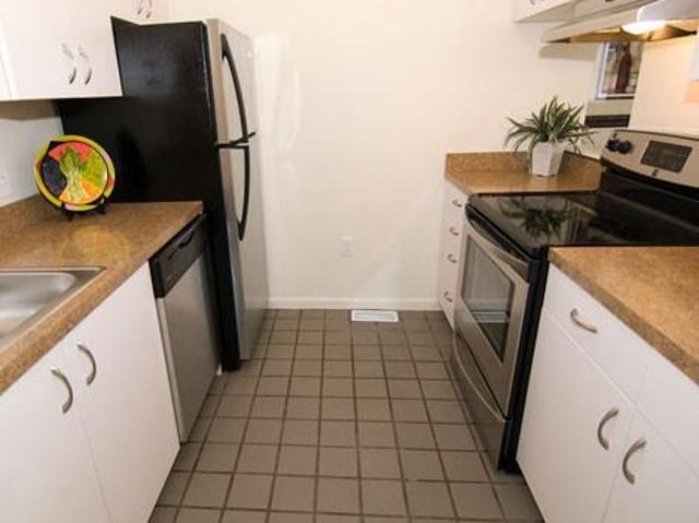 Apartment for rent in Cambridge, Massachusetts