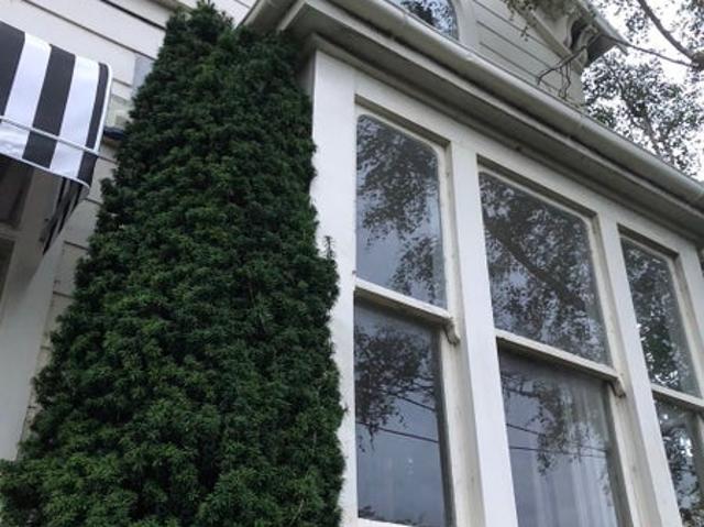 House for rent in Matata, Wellington