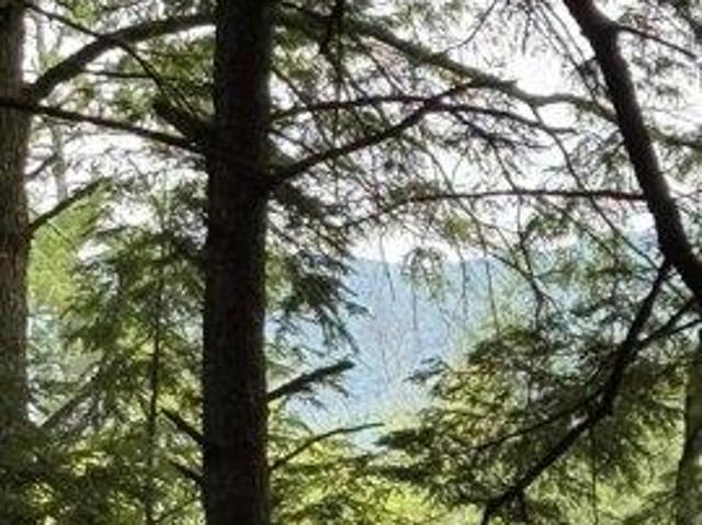 Land for sale in New Hampshire