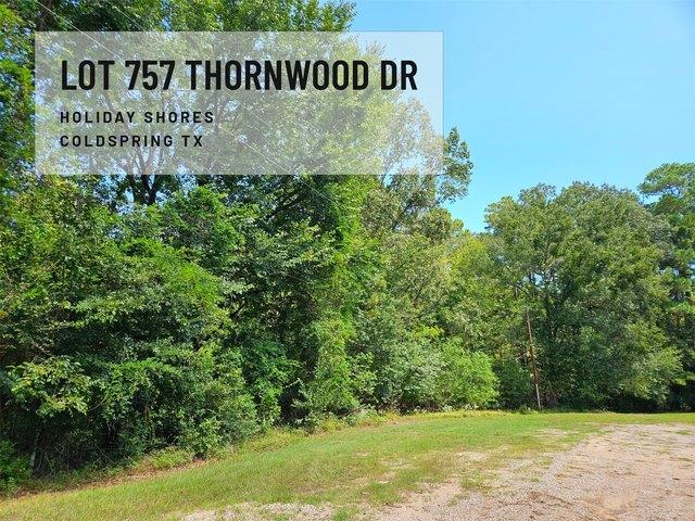 Land for sale in Coldspring, Texas