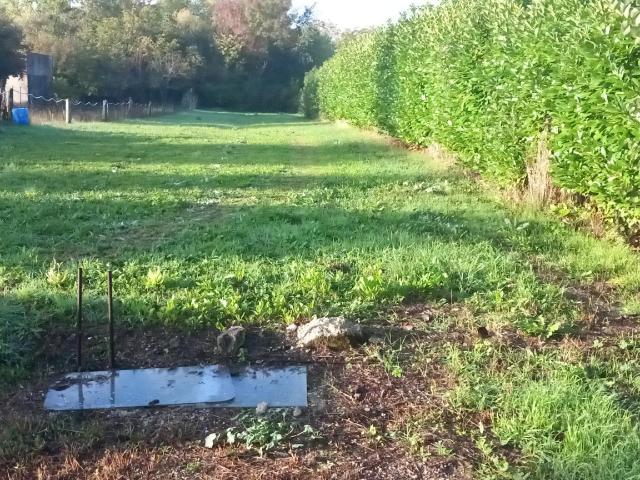 Terrain vente à France métropolitaine, Thors