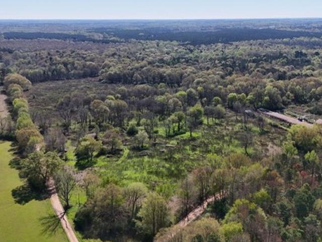 Land for sale in Mississippi