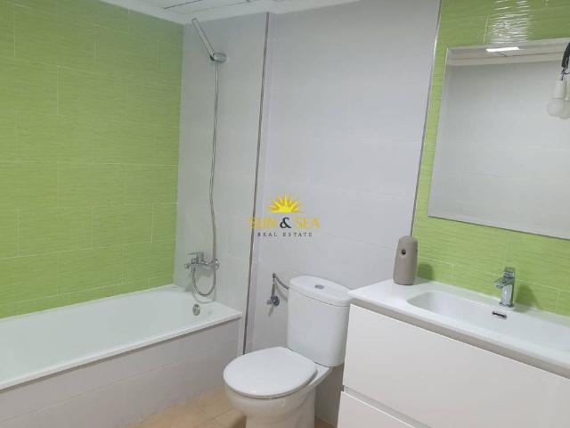 Apartamento en alquiler en Urbanización Doña Pepa, el Baix Segura / La Vega Baja