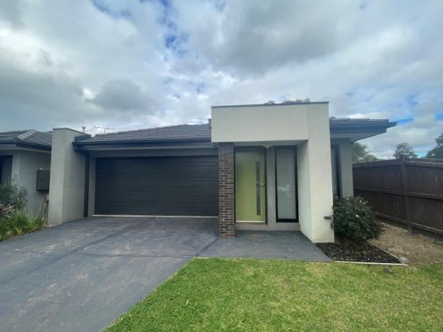 House for rent in Geelong, Victoria
