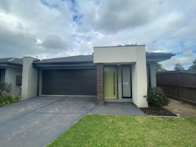 House for rent in Geelong, Victoria