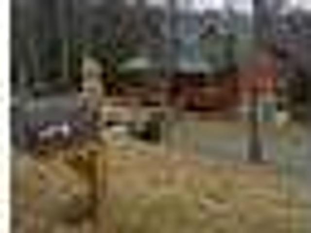 House for rent in Galax