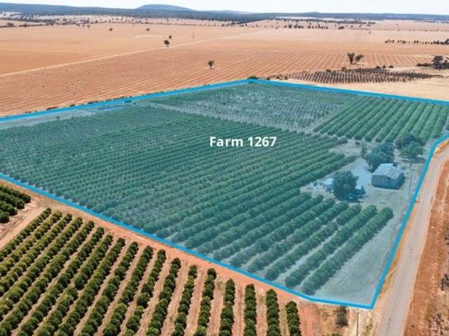 Land for sale in Corbie Hill, New South Wales