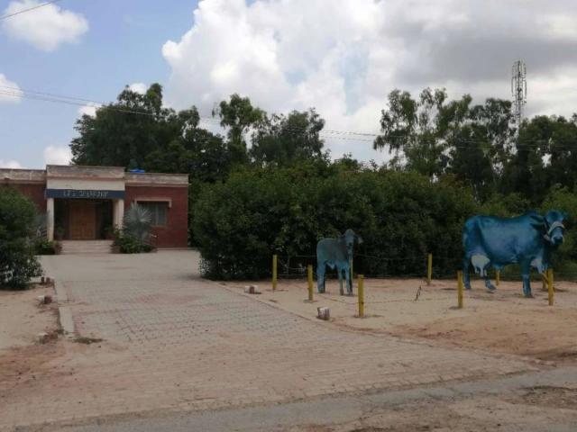 Land for sale in Sadhoke, لاہور ڈویژن